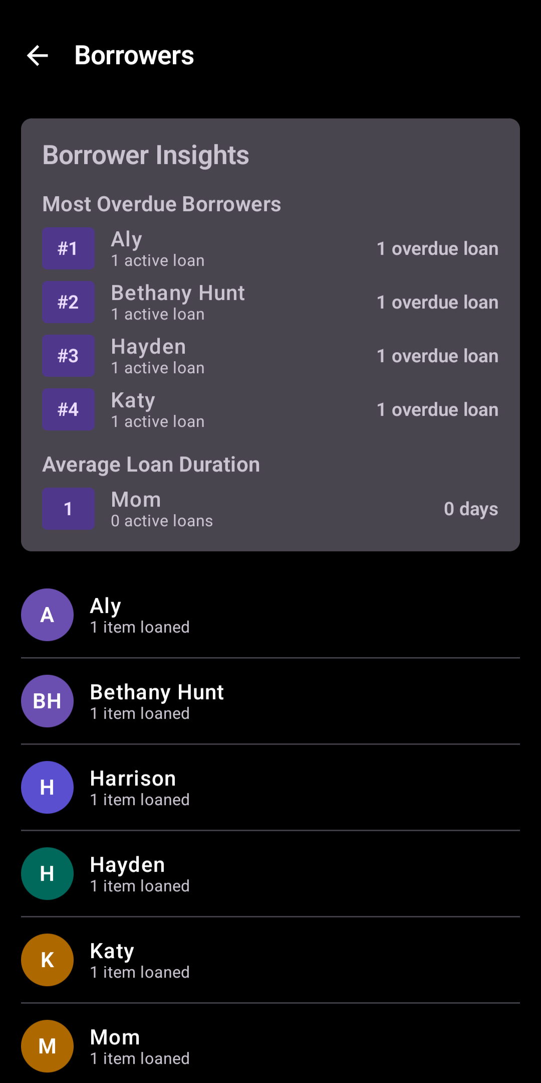 Borrowers screen in Loan It